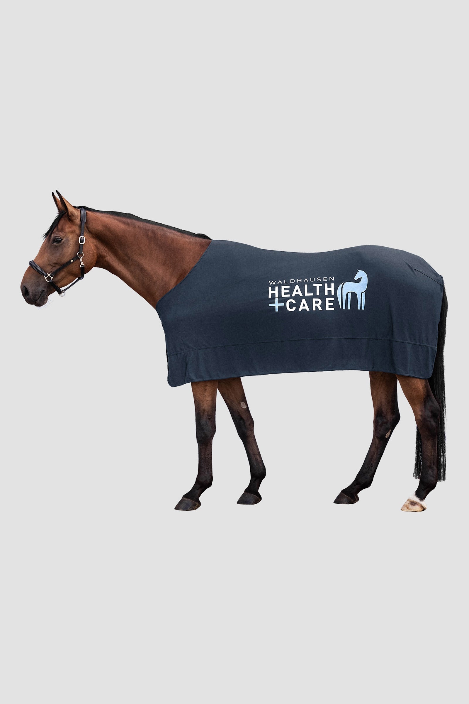 Waldhausen Coperta refrigerante W-Health & Care Ice Layer Coperte per cavalli