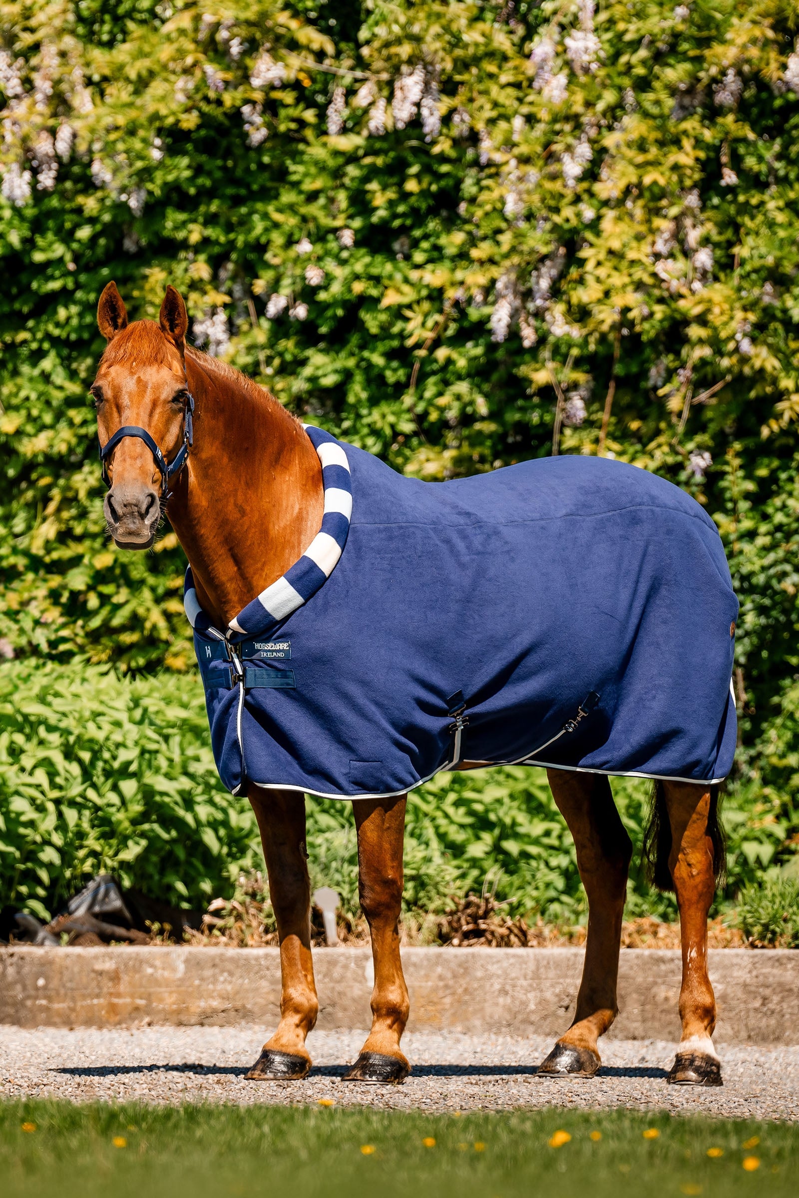 Horseware Newmarket Cosy Fleece Coperta antisudore Coperte per cavalli