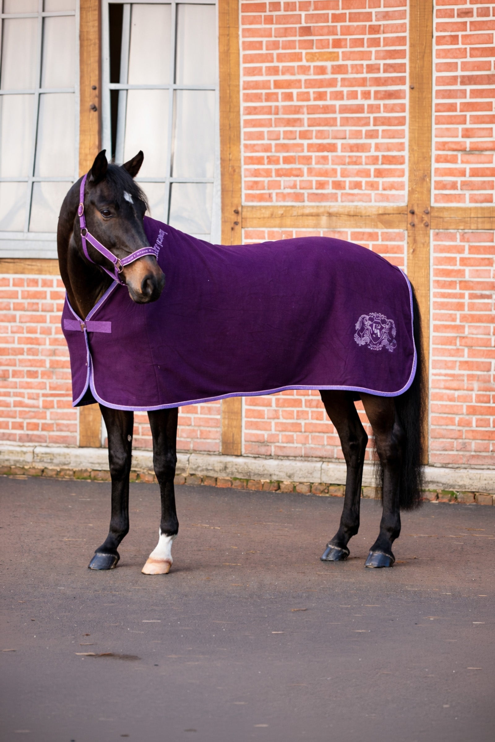 Kavalkade Unicorn Academy coperta in pile con cordoncino decorativo Coperte per cavalli