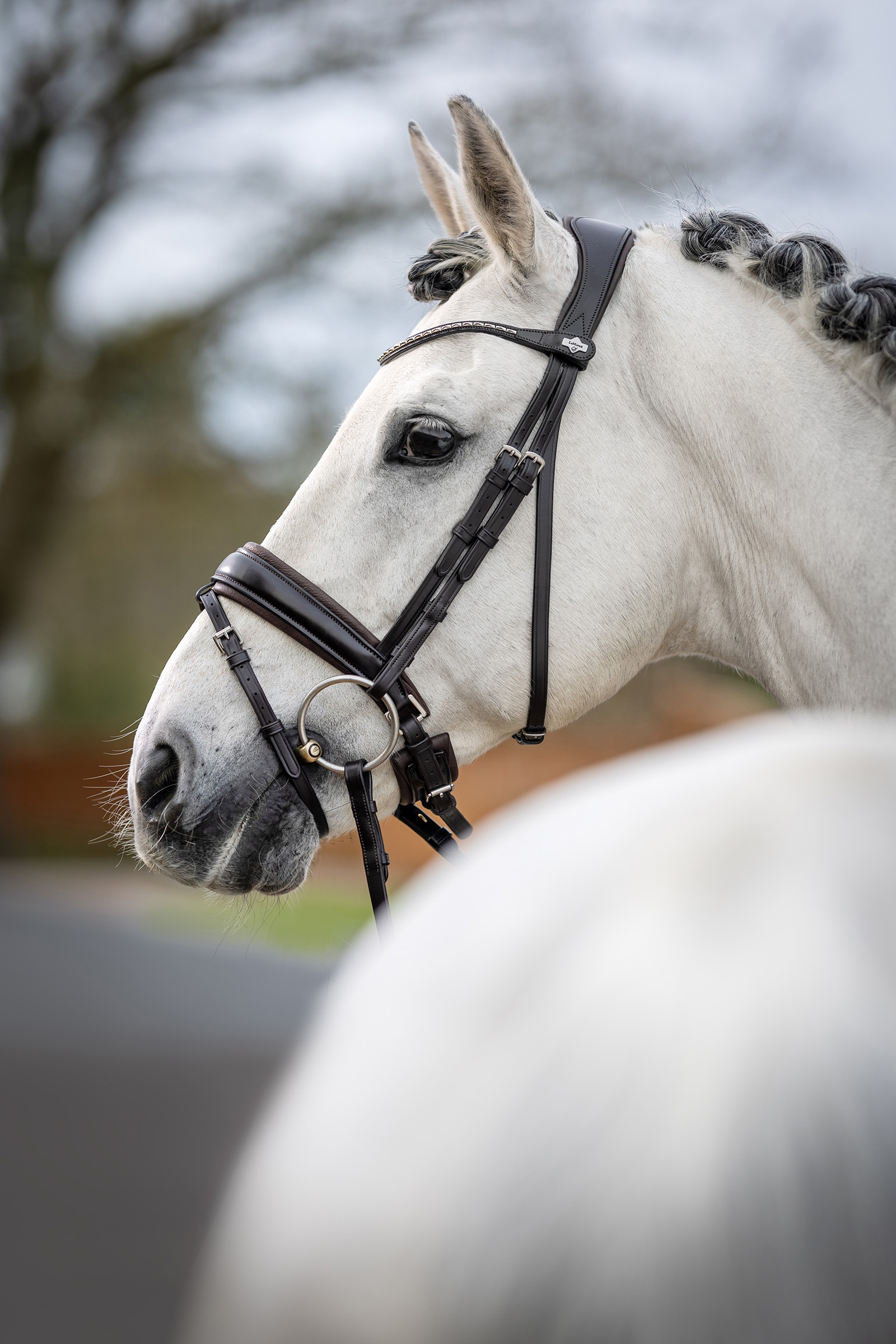 Acquista LeMieux Briglia classica da dressage ora